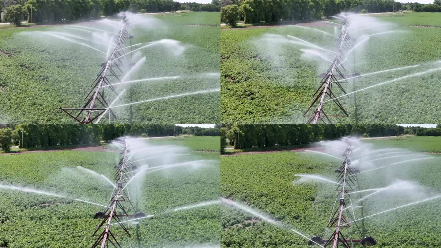 威斯康辛州中部的一片農田正在用灑水系統進行灌溉。